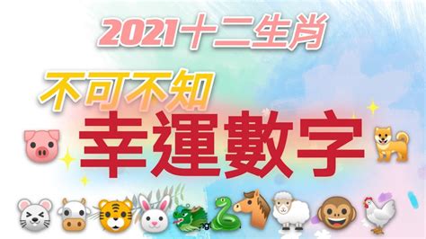 12生肖幸運數字|快收藏！12生肖的「幸運數字」公布 